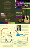 Martin Guitar Museum Guide